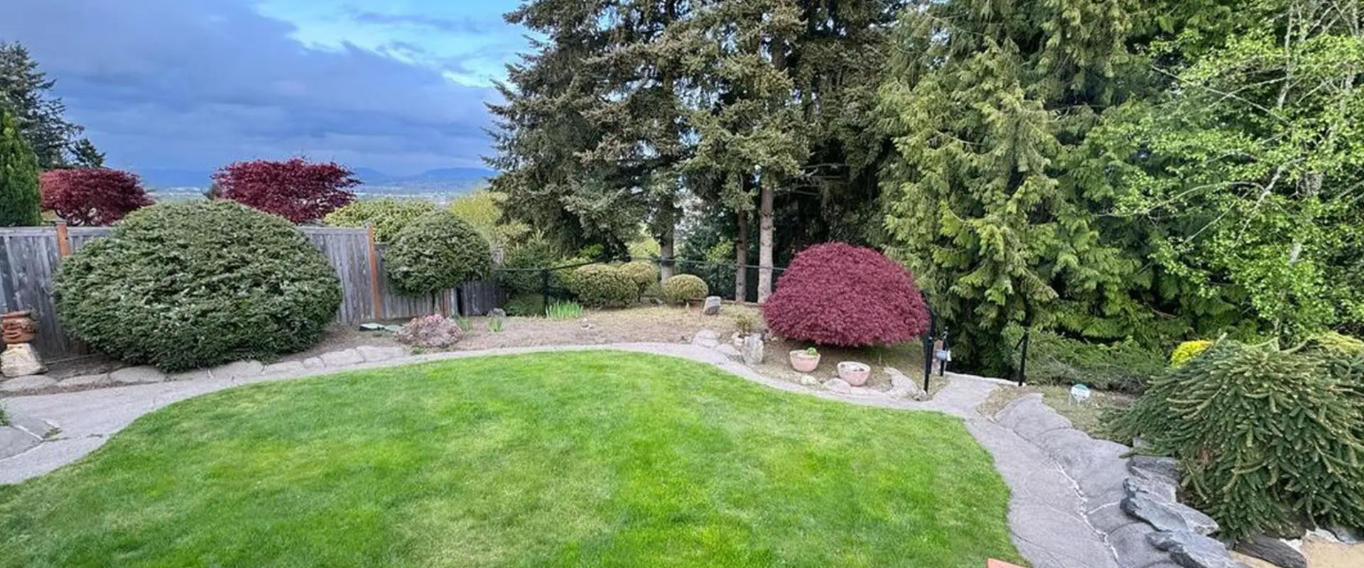 A large lawn with trees and bushes in the background.