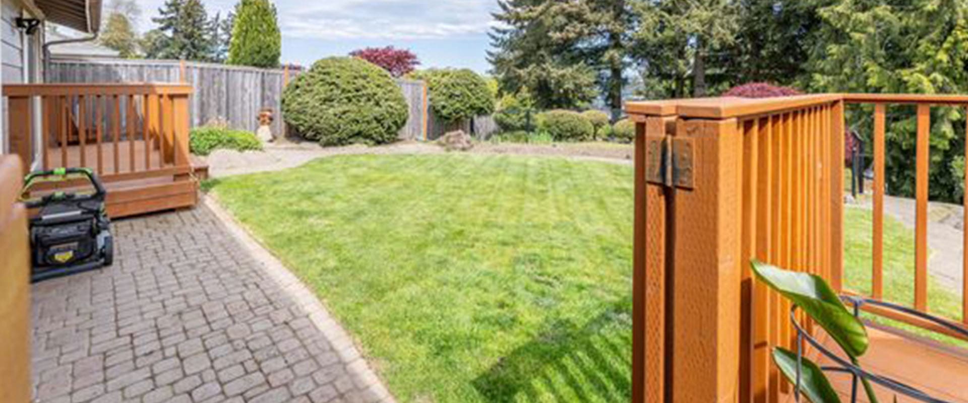 A backyard with grass and trees, and a wooden fence.