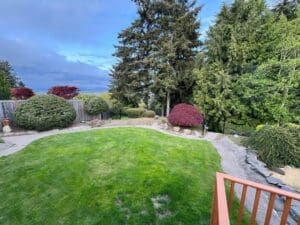 A backyard with trees and grass in the background.